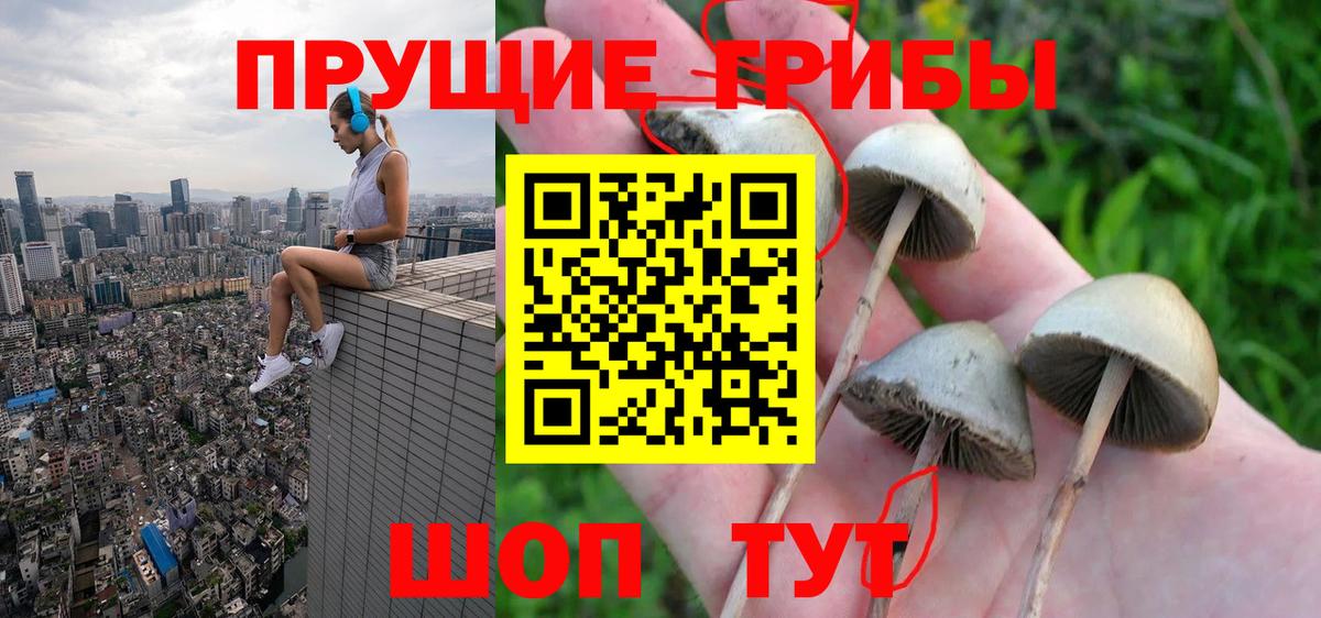 Галлюциногенные грибы мицелий Кировск
