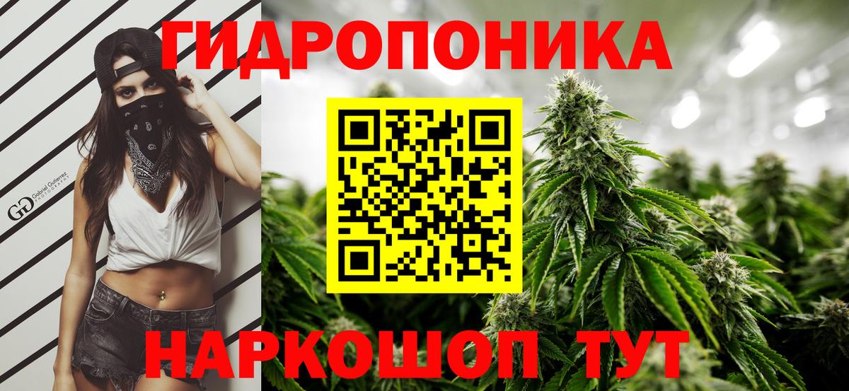Кировск  Бошки марихуана MAZAR  Вход с VPN  Канабис марихуана  Канабис сатива 